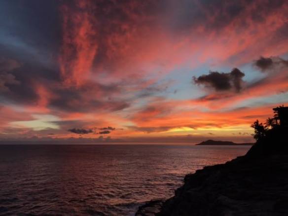 17523426_10211761742305220_7545251132814034560_n[1]